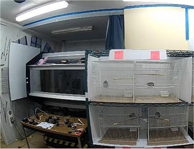 High Rates of Exposure to Simulated Winter Storm Cues Negatively Affect White-Throated Sparrow (Zonotrichia albicollis) Energy Reserves